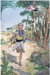Na manhã seguinte, ele seguiu o pássaro que voou de árvore em árvore, de 1930